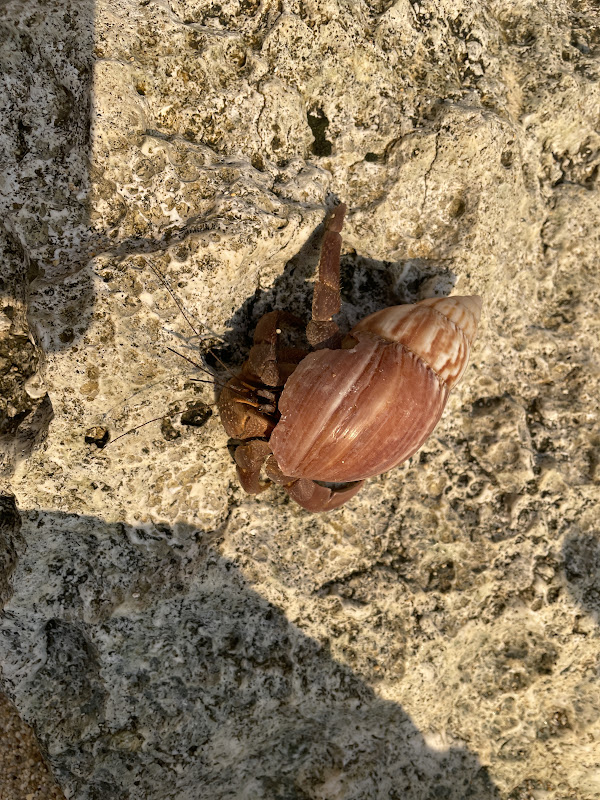 IMG_4686.JPG