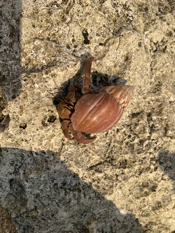 IMG_4687.JPG